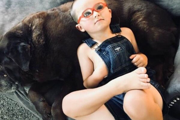 A young boy in red glasses and blue overalls lays on a couch on top of a brown dog
