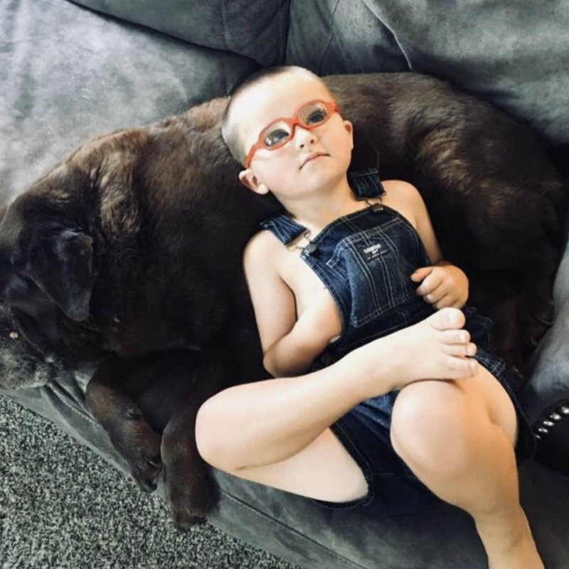 A young boy in red glasses and blue overalls lays on a couch on top of a brown dog